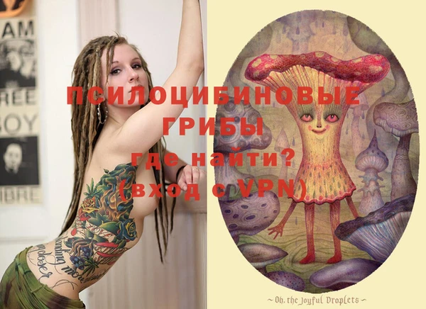 героин Покачи