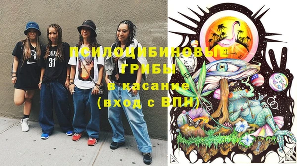 героин Покачи